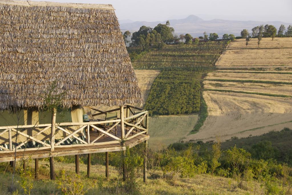 Rhotia Valley Tented Lodge And Children'S Homeカラトゥ 部屋 写真